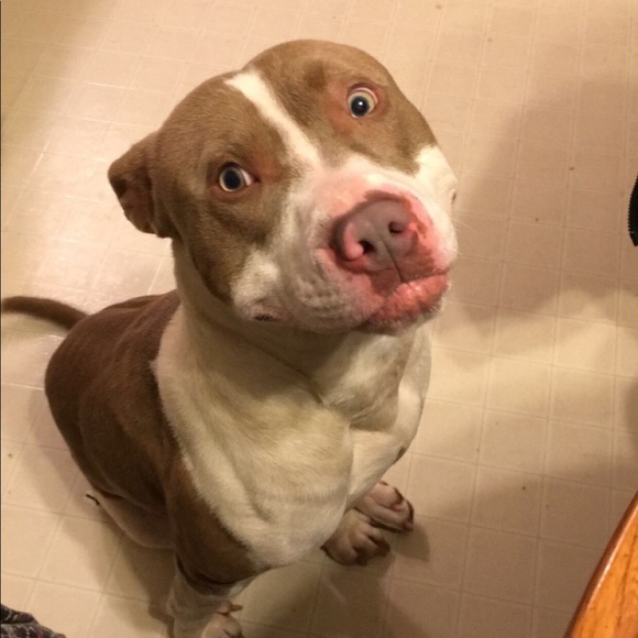 Meet your Posher, Haley - Picture 1 of 1